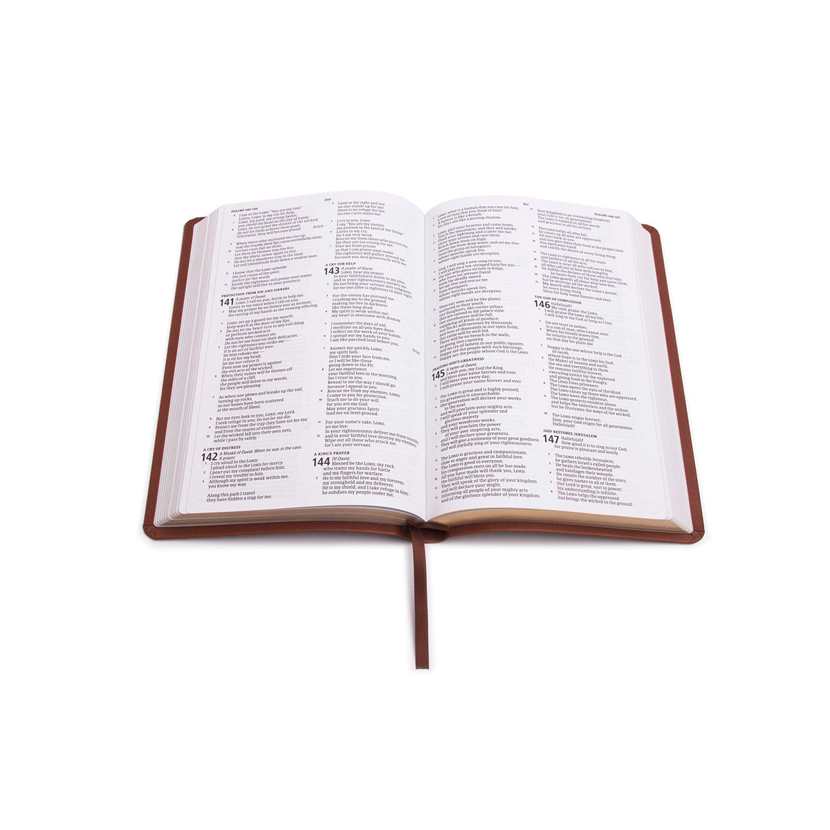 CSB Deluxe Gift Bible Brown (Imitation Leather)
