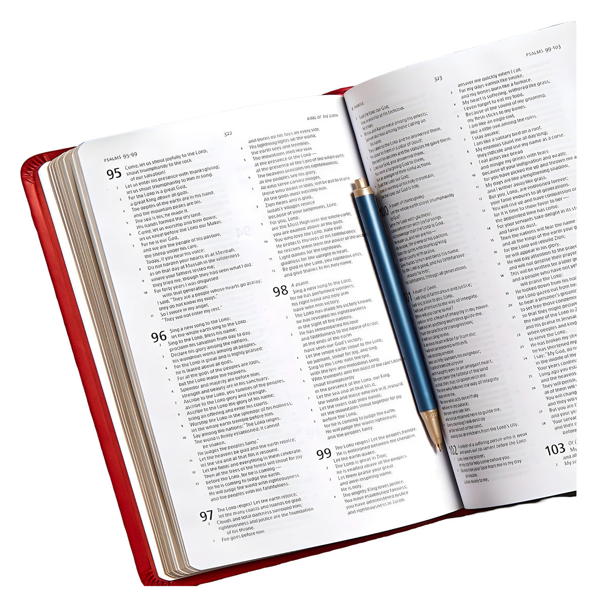 CSB Deluxe Gift Bible Burgundy (Imitation Leather)