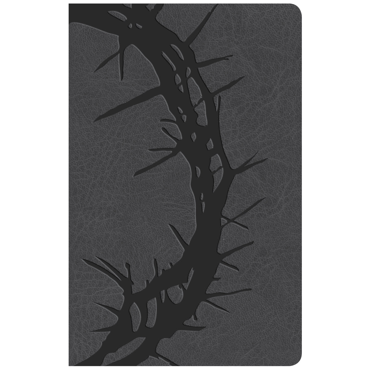 KJV Personal Size Reference Bible Large Print Indexed Charcoal (Imitation Leather)