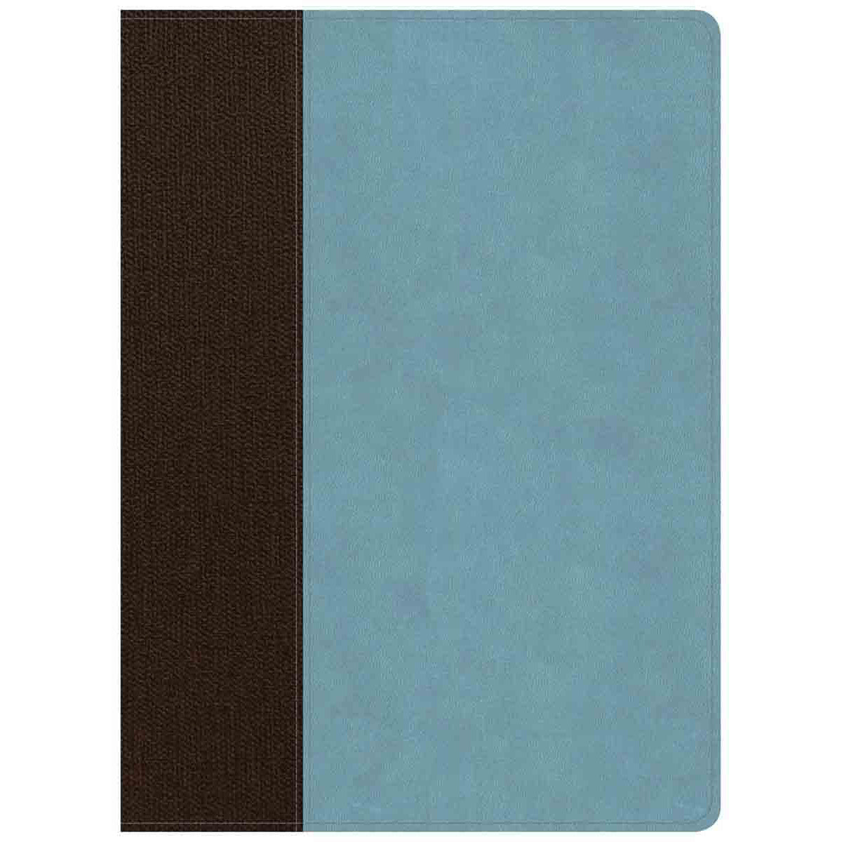 CSB Life Essentials Study Bible Indexed Brown / Sky (Imitation Leather)