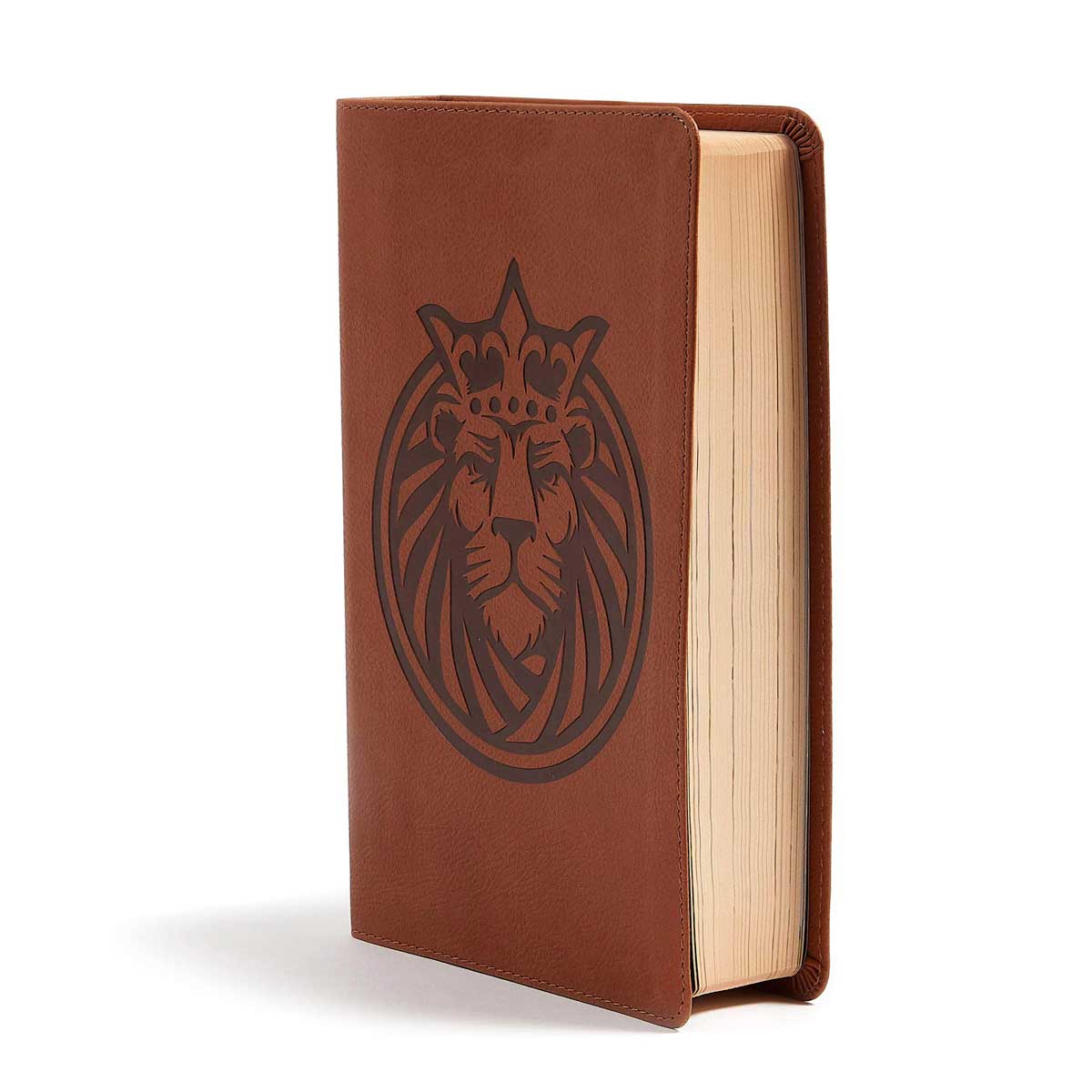 CSB Kid's Bible Lion Brown (Imitation Leather)