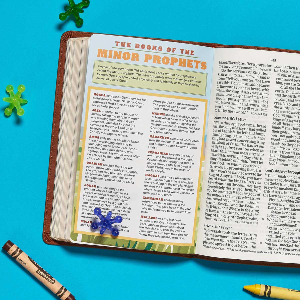 CSB Kid's Bible Lion Brown (Imitation Leather)