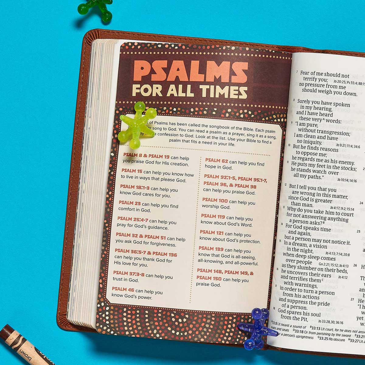 CSB Kid's Bible Lion Brown (Imitation Leather)