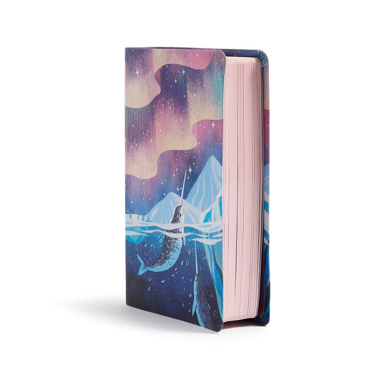 CSB Kid's Bible Narwhal (Imitation Leather)