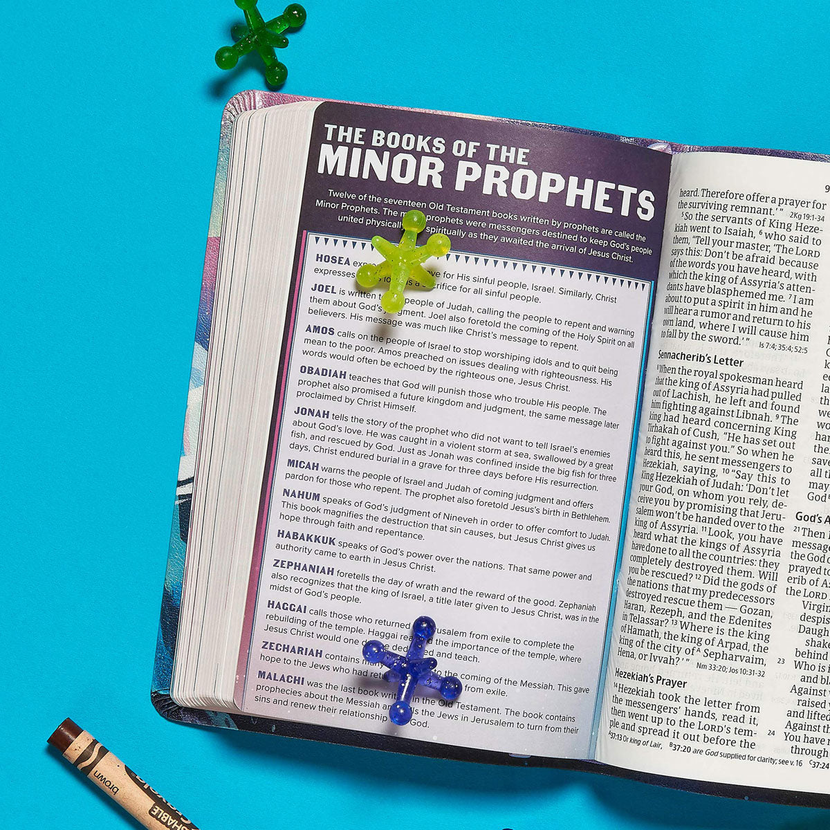 CSB Kid's Bible Narwhal (Imitation Leather)