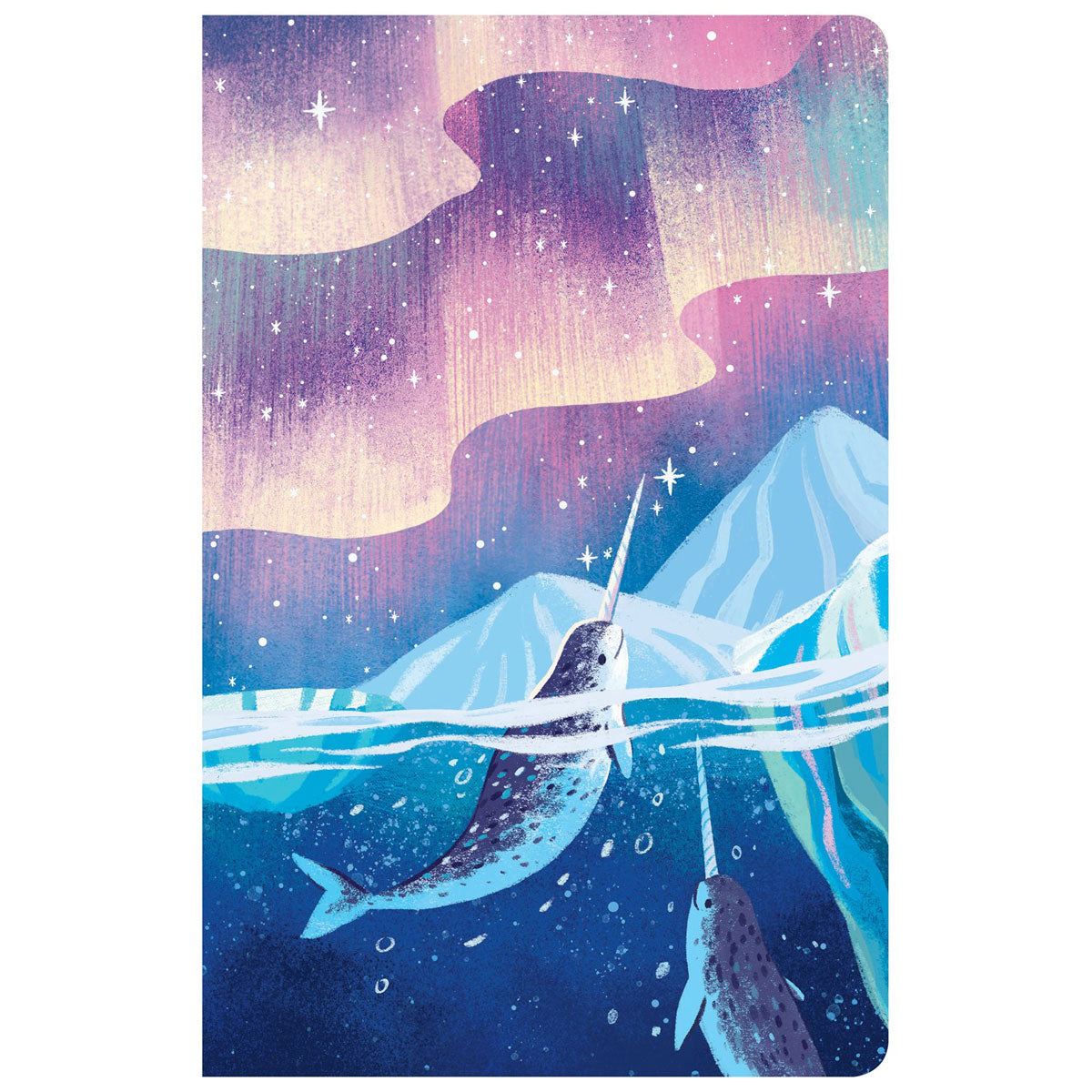 CSB Kid's Bible Narwhal (Imitation Leather)