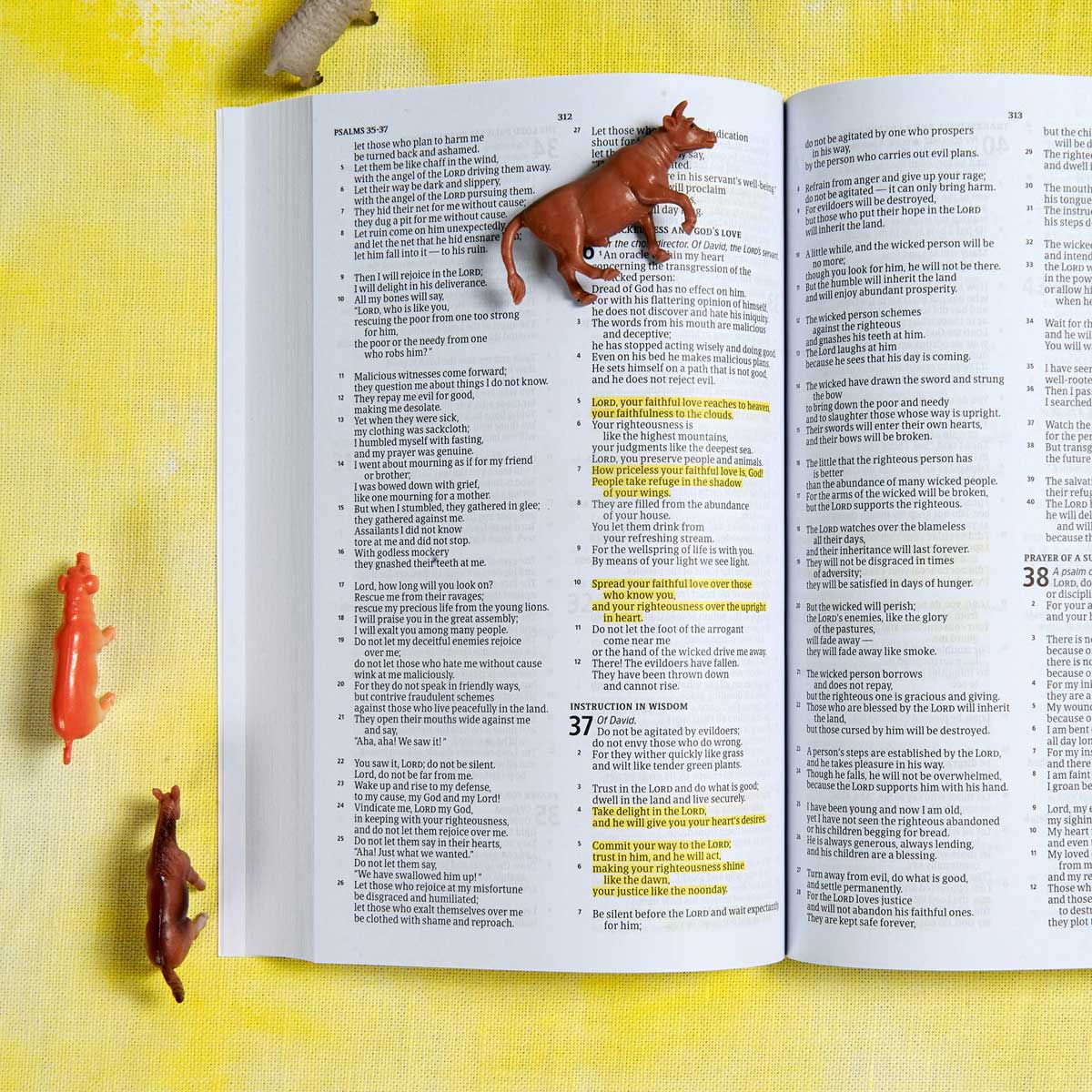 CSB God Loves You Bible For Kids (Paperback)