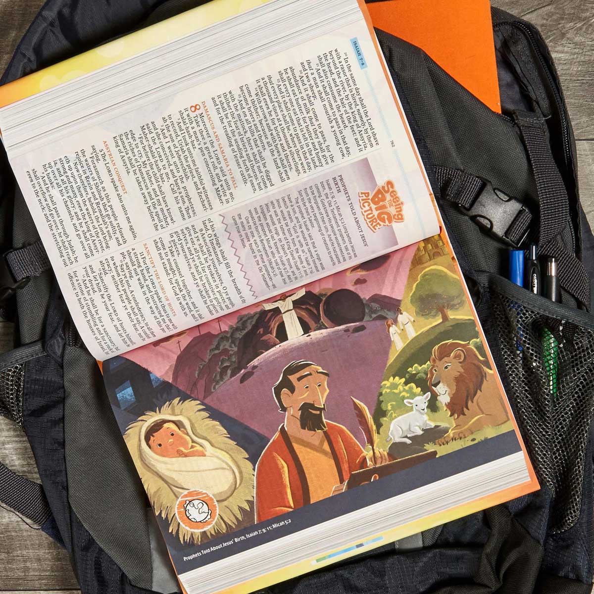 KJV One Big Story Bible (Hardcover)