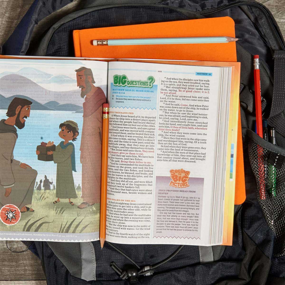 KJV One Big Story Bible (Hardcover)