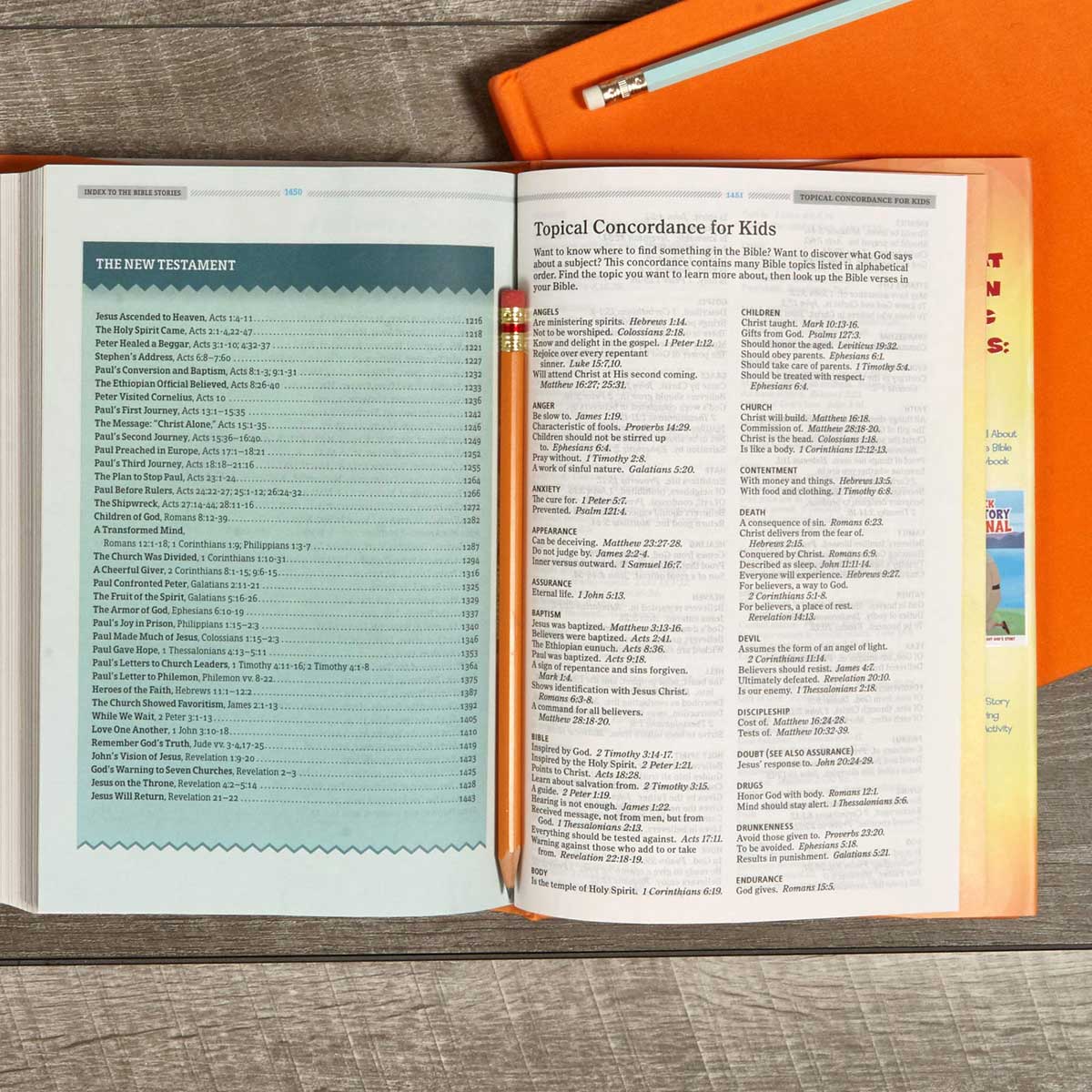 KJV One Big Story Bible (Hardcover)