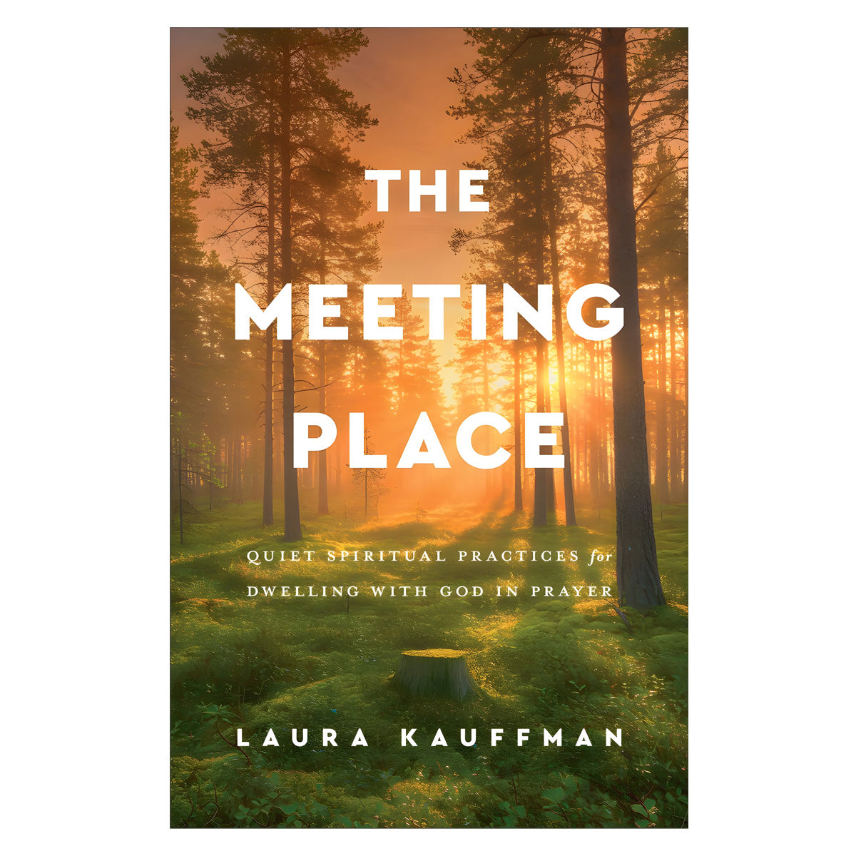 The Meeting Place: Quiet Spiritual Practices for Dwelling with God in Prayer (Paperback)