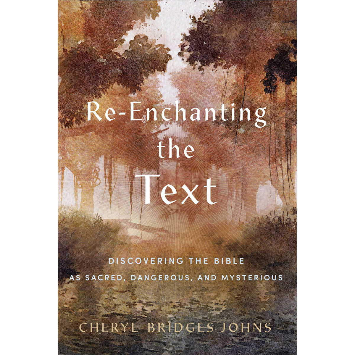 Re-Enchanting The Text: Discovering The Bible As Sacred, Dangerous, And Mysterious (Paperback)