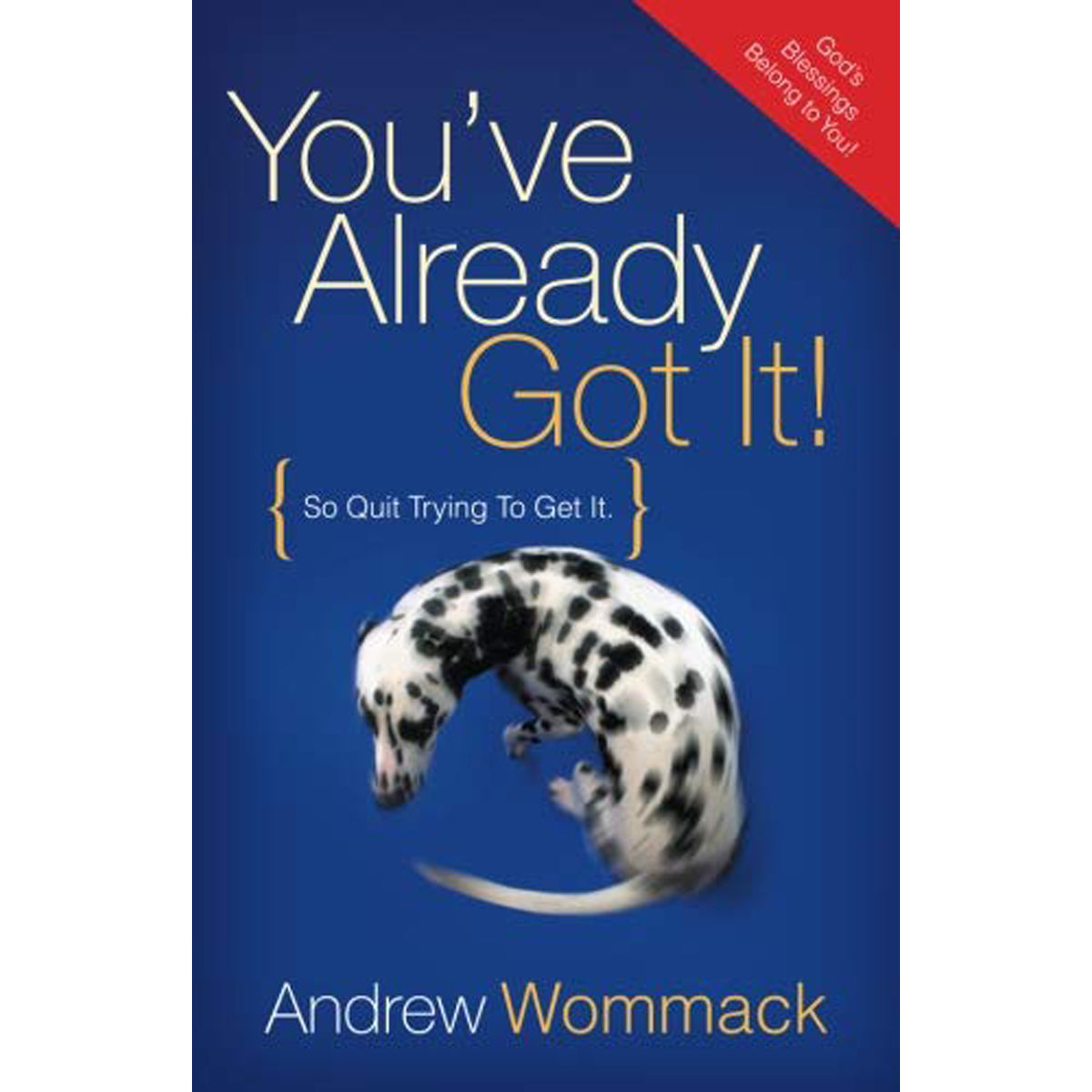 You've Already Got It! (So Quit Trying To Get It)(Paperback)