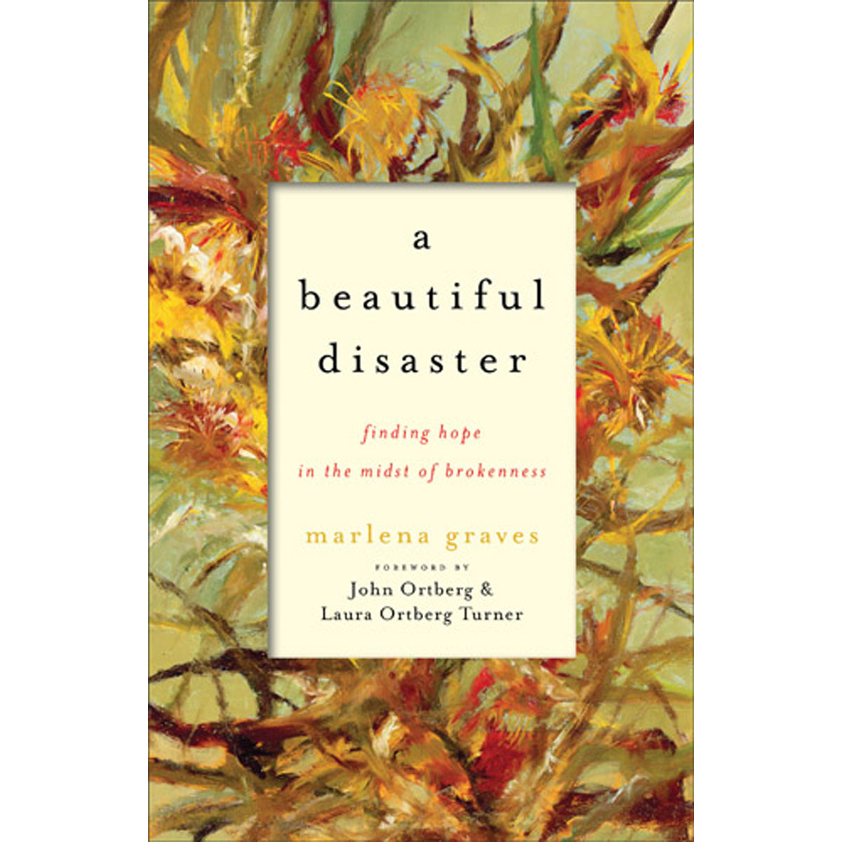 A Beautiful Disaster (Paperback)