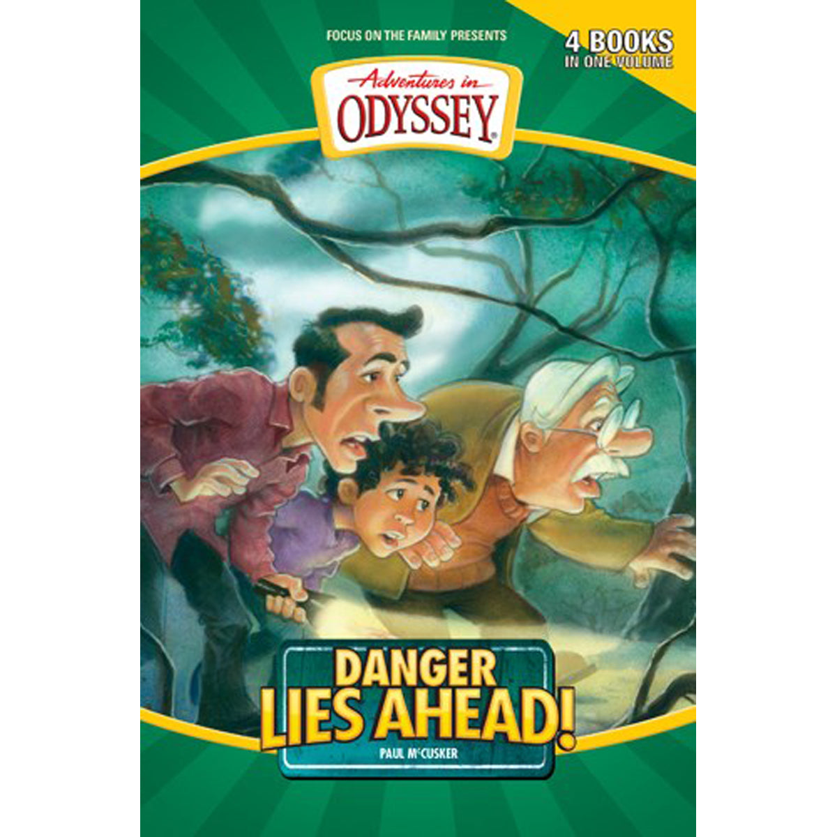 Danger Lies Ahead! (Paperback)