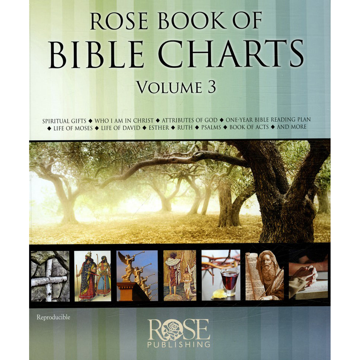 Rose Book Of Bible Charts Volume 3 (Hardcover)