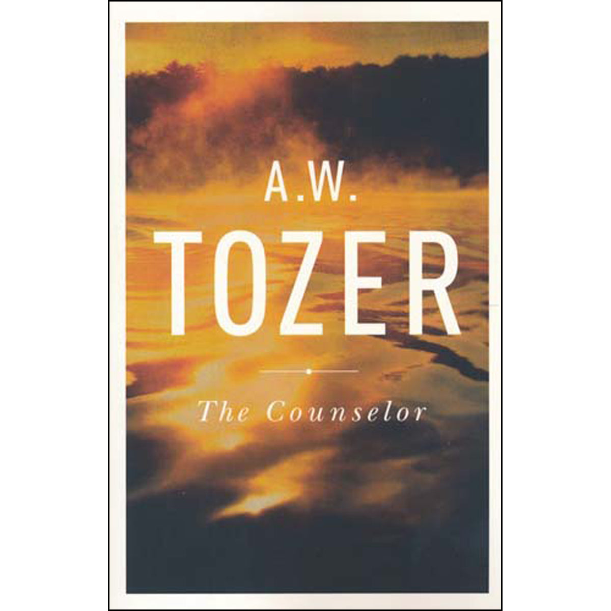 The Counselor (Paperback)