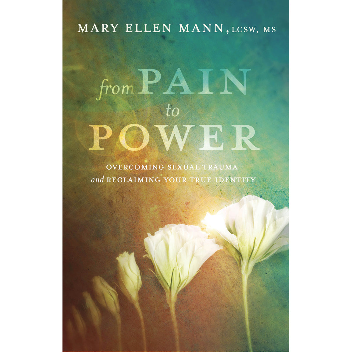 From Pain To Power (Paperback)