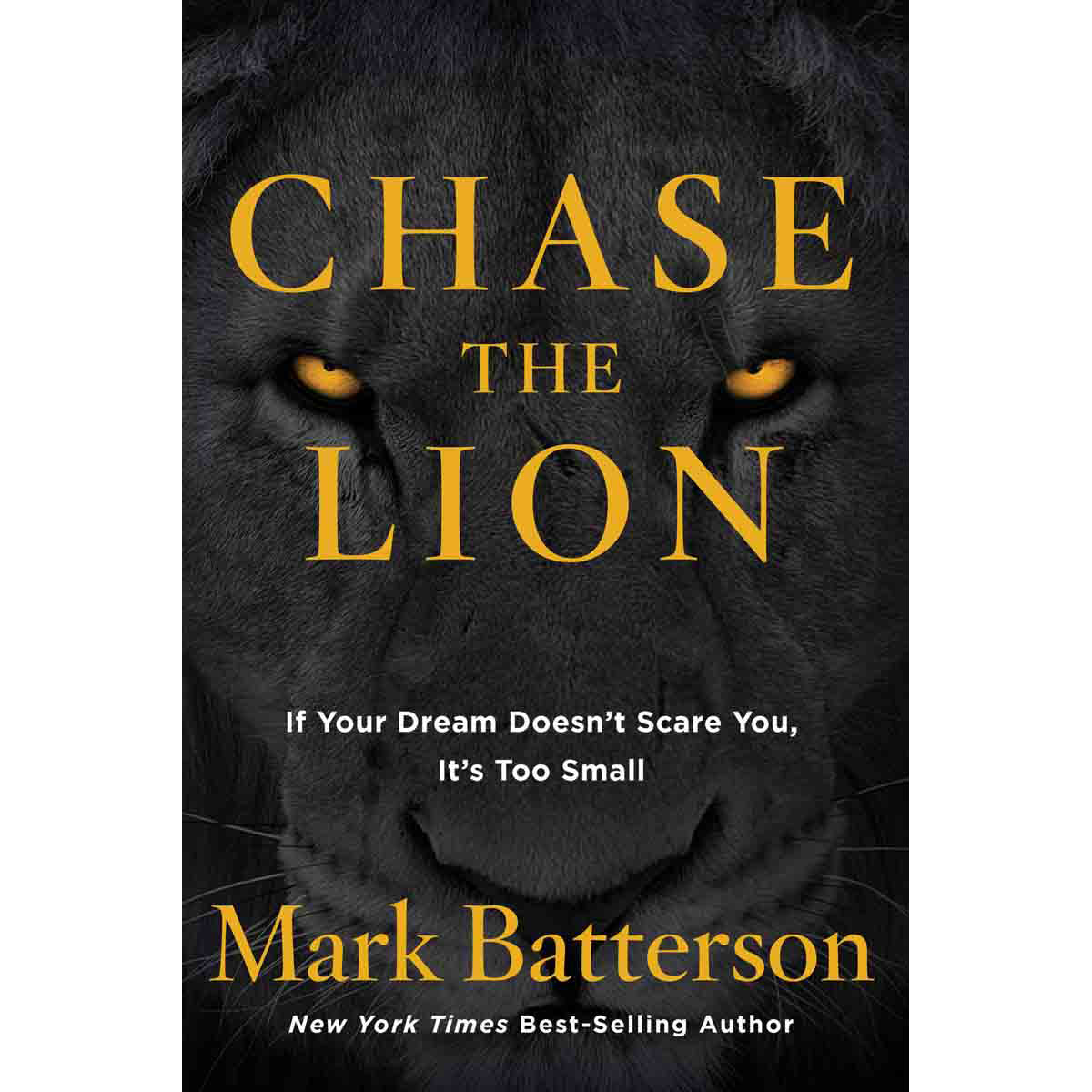 Chase The Lion: If Your Dream Doesn't Scare You, It's Too Small Paperback