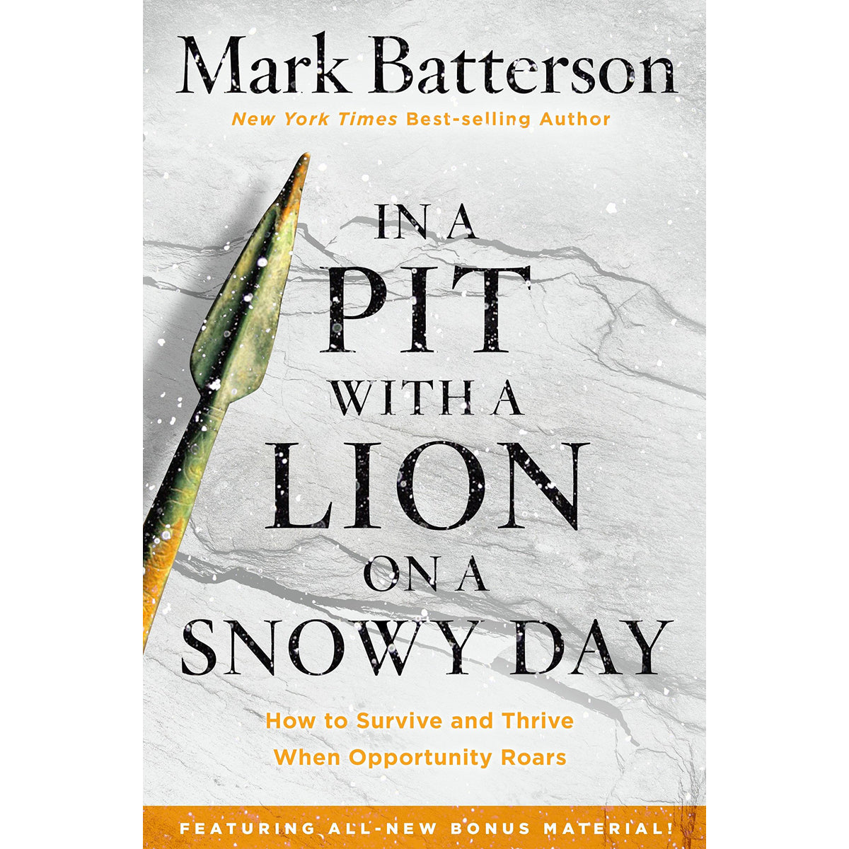 In A Pit With A Lion On A Snowy Day (Paperback)