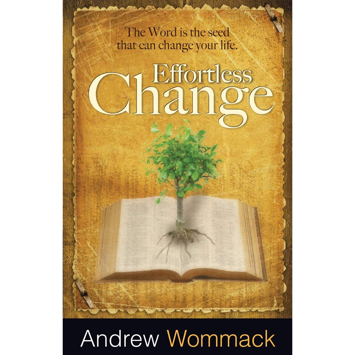 Effortless Change (Paperback)