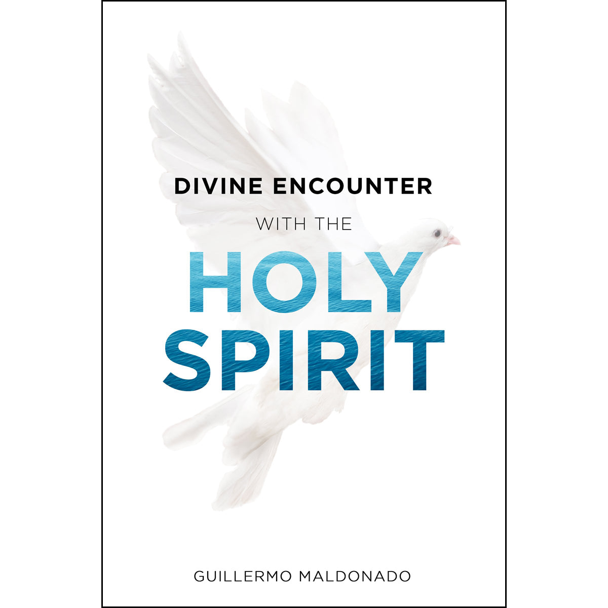 Divine Encounter With The Holy Spirit (Paperback)