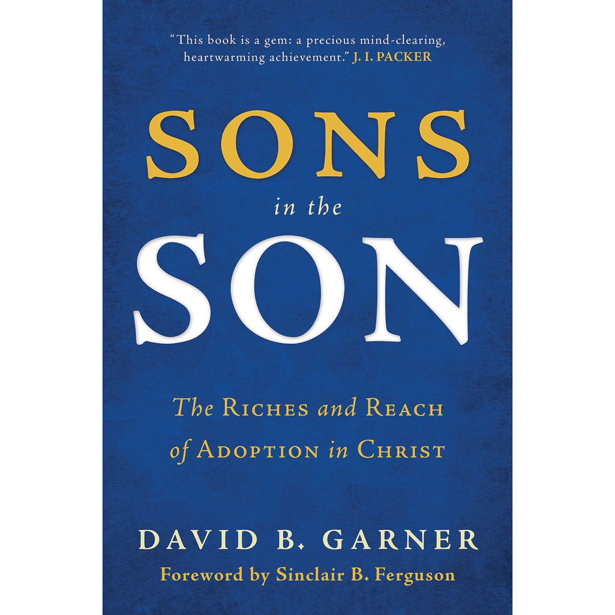 Sons In The Son (Paperback)