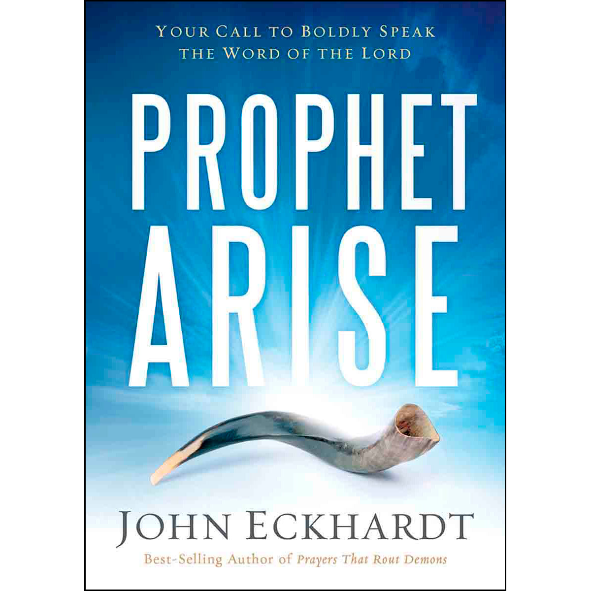 Prophet, Arise: Your Call To Boldly Speak the Word Of the Lord (Paperback)