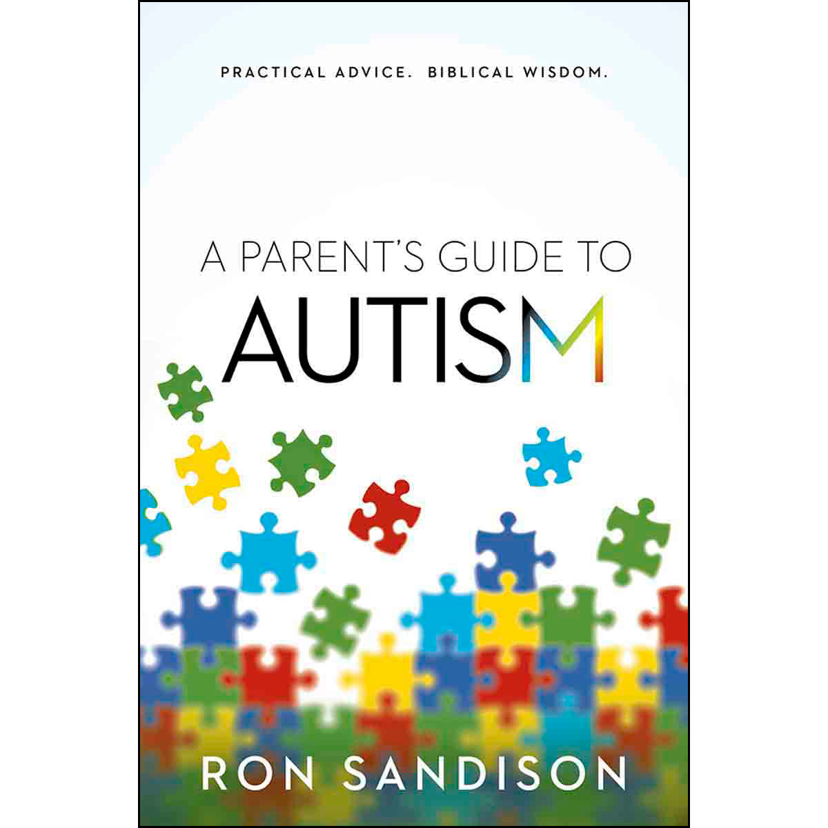 A Parents Guide To Autism (Paperback)