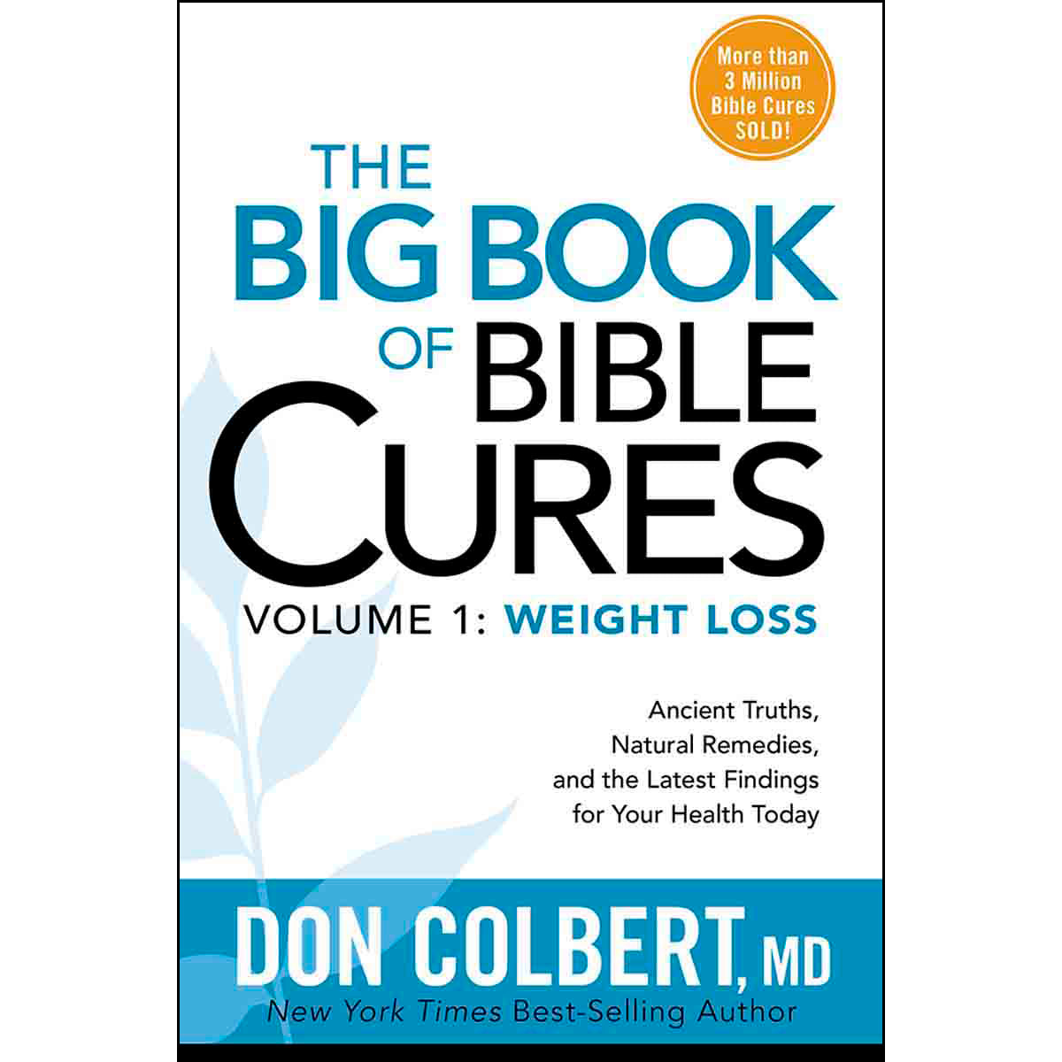 Big Book Of Bible Cures Vol 1: Weight Loss (Paperback)
