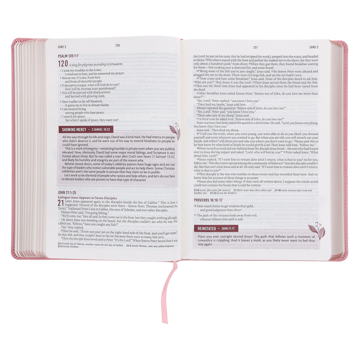 NLT Pink Flexcover Faux Leather Everyday Devotional Bible for Women