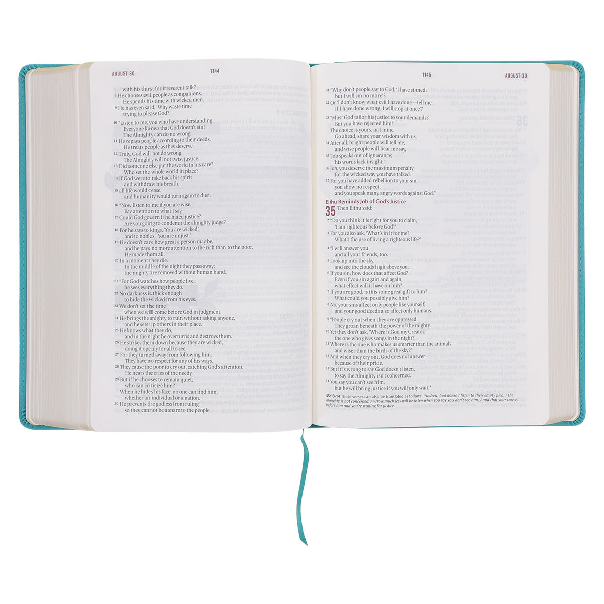 NLT Teal Flexcover Faux Leather Everyday Devotional Bible for Women