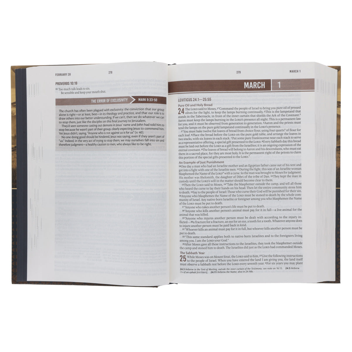 NLT Landscape Hardcover Everyday Devotional Bible for Men