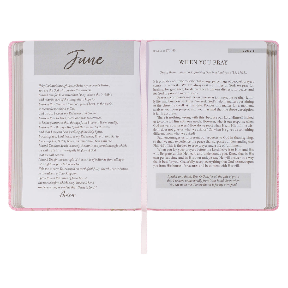 New Beginnings: The Lord's Mercies are New Every Morning - 366 Devotions (Faux Leather)