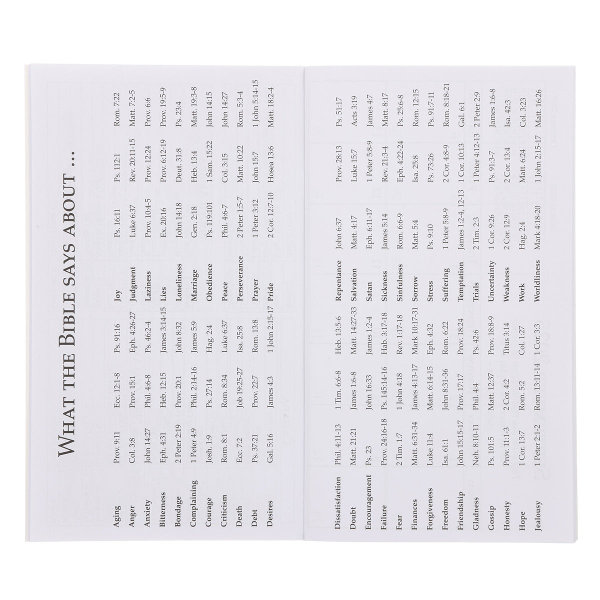 2026 Diary - Daily Planner - A Sweet Friendship Refreshes the Soul