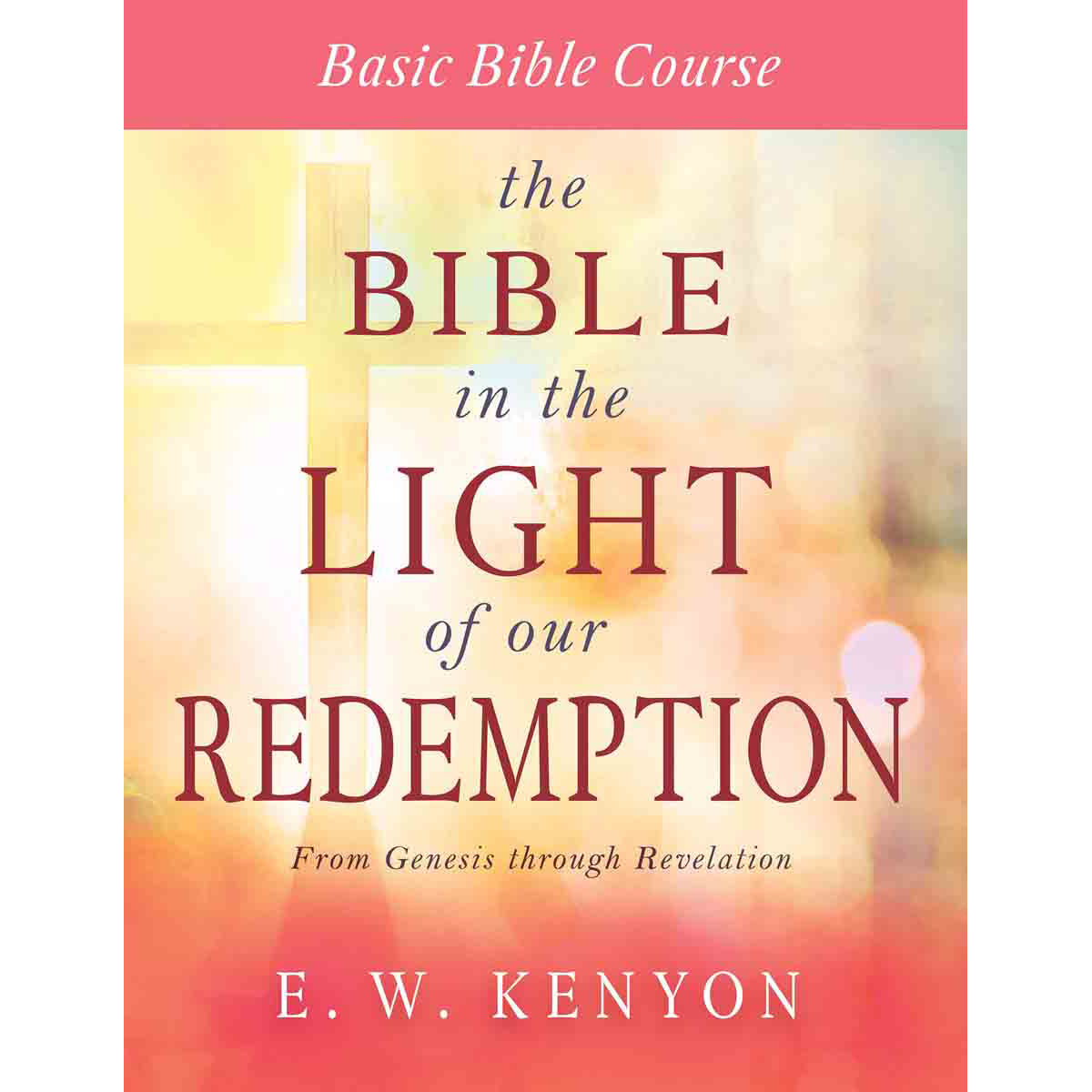 The Bible In The Light Of Our Redemption: Basic Bible Course (Paperback)