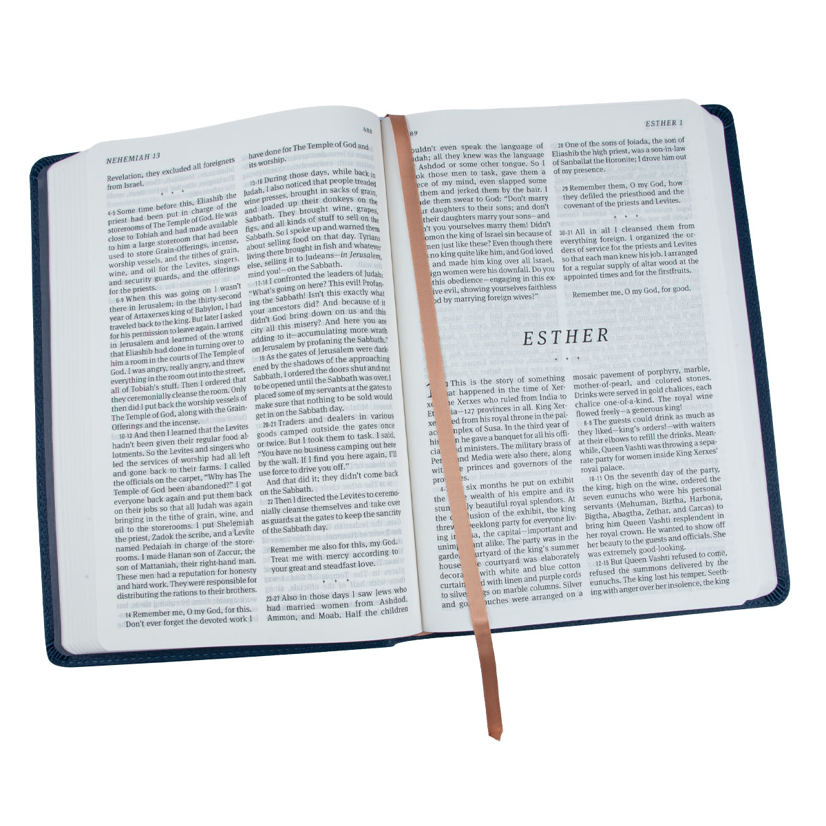The Message Deluxe Gift: The Bible In Contemporary Language Large Print Navy (Imitation Leather)