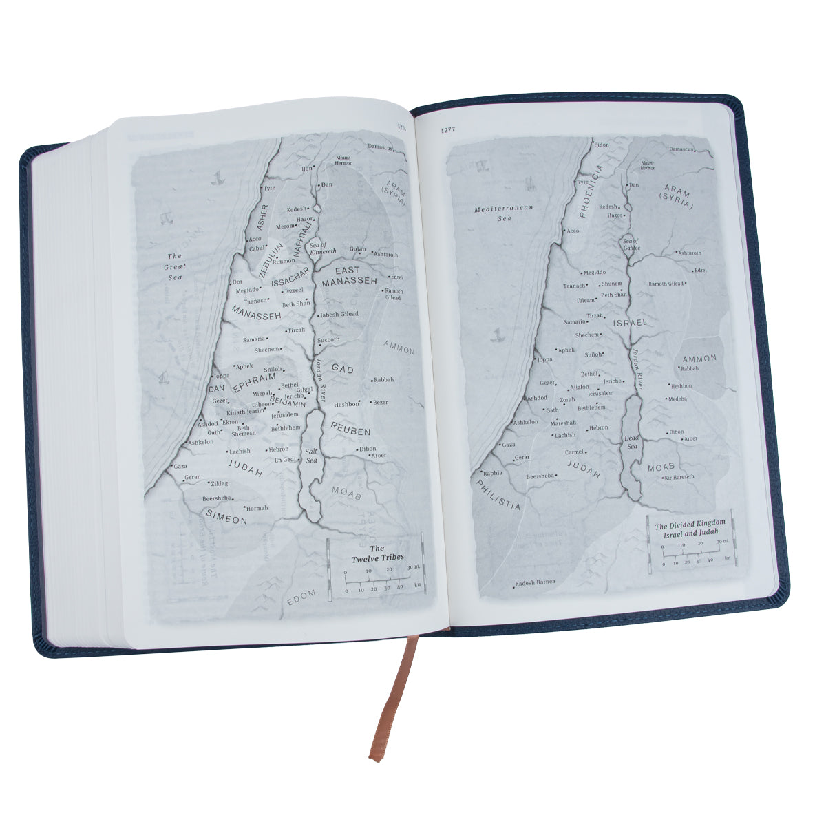 The Message Deluxe Gift: The Bible In Contemporary Language Large Print Navy (Imitation Leather)