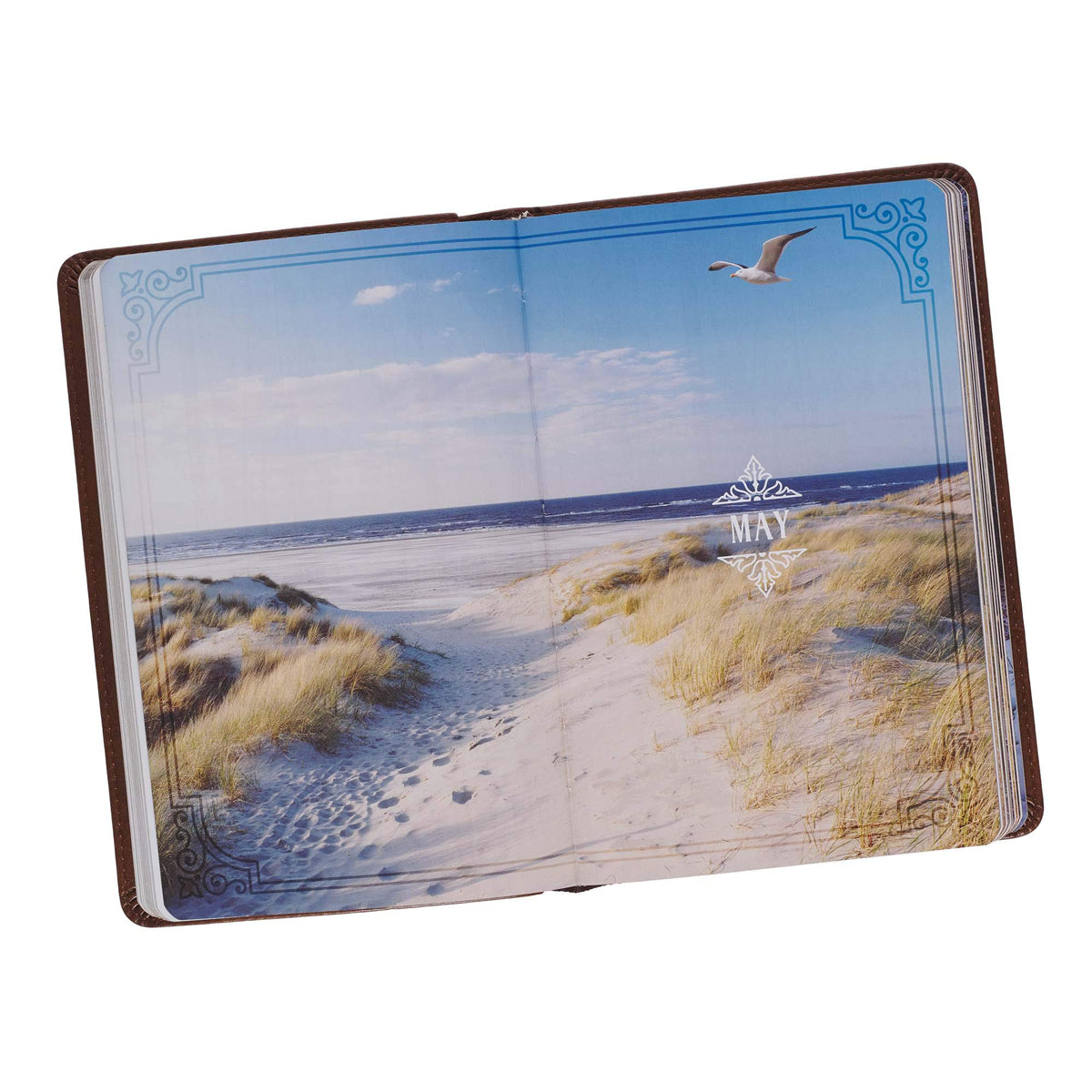 Walking With God: 365 Daily Devotions (Faux Leather)