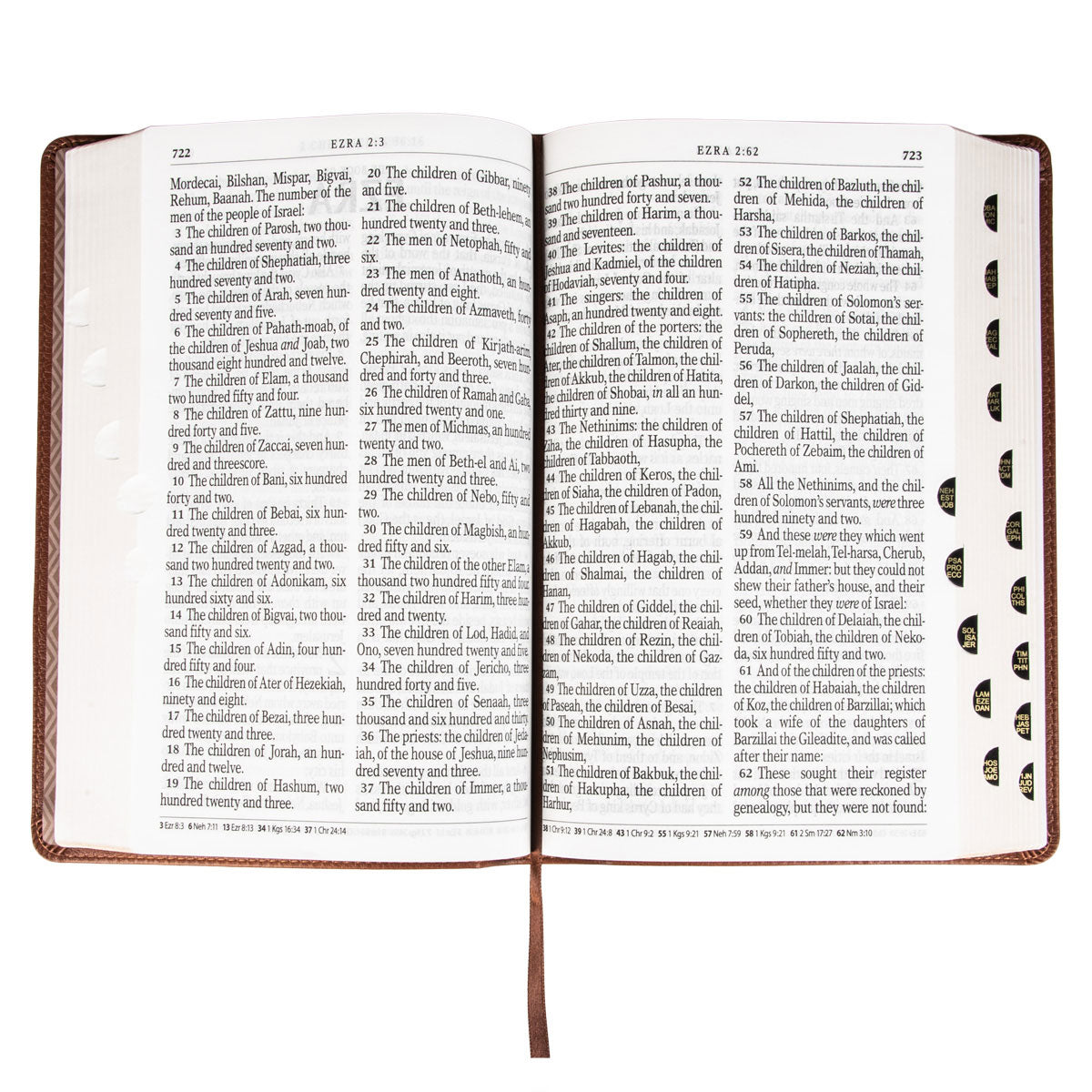 KJV Brown Faux Leather Medium Bible Giant Print