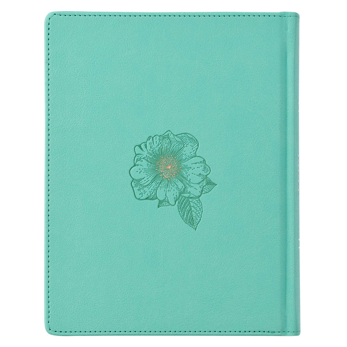 KJV My Promise Bible, Faux Leather Hardcover, Teal