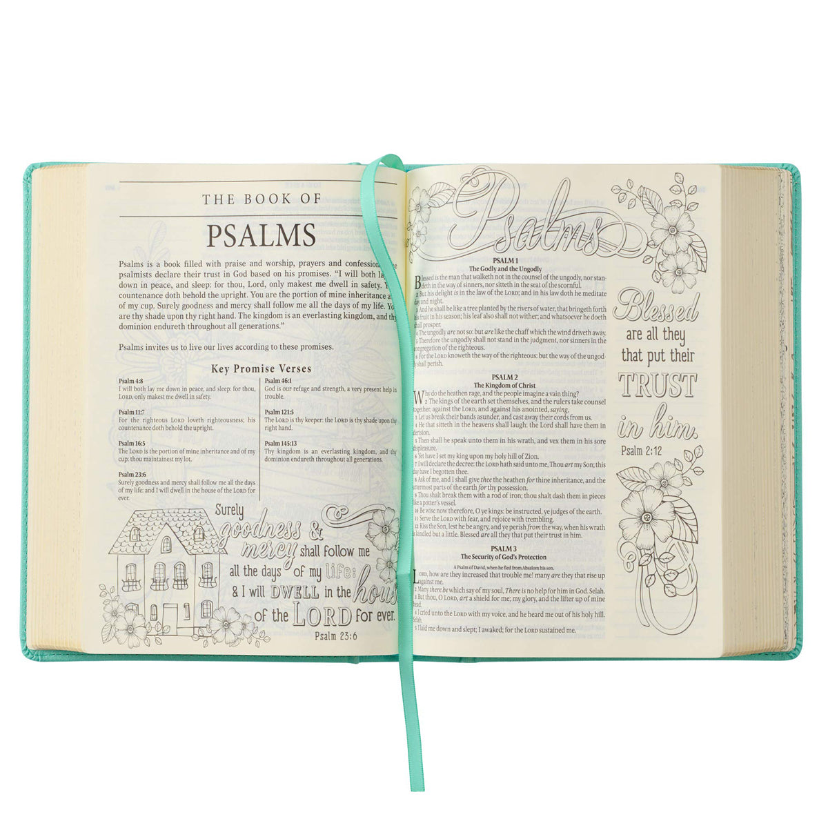 KJV Teal Faux Leather Hardcover My Promise Bible