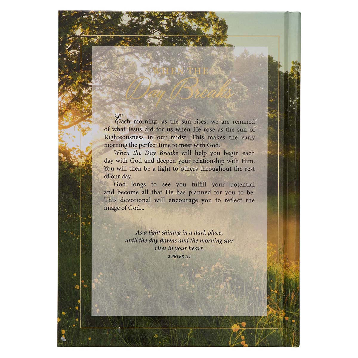 When The Day Breaks Pond (Padded Hardcover)