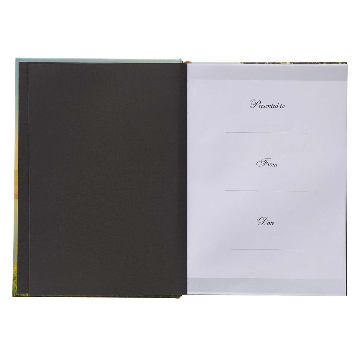 When The Day Breaks Pond (Padded Hardcover)