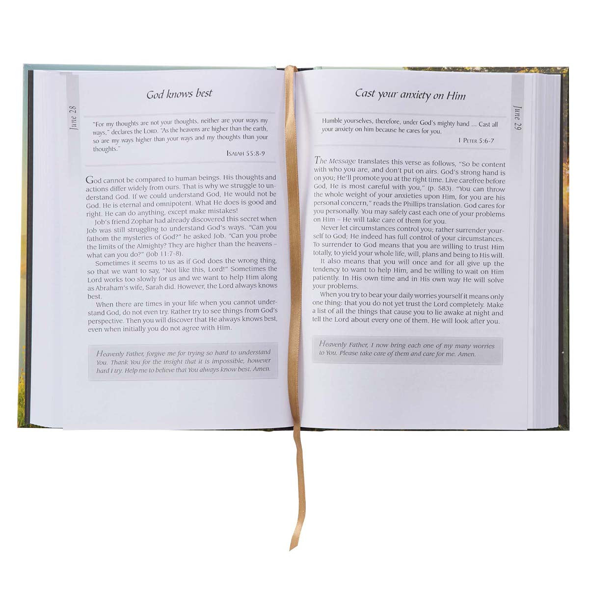 When The Day Breaks Pond (Padded Hardcover)