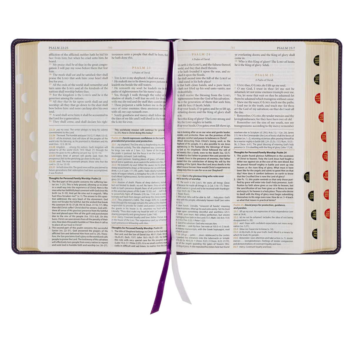 KJV Purple Faux Leather Flexcover Study Bible Large Print