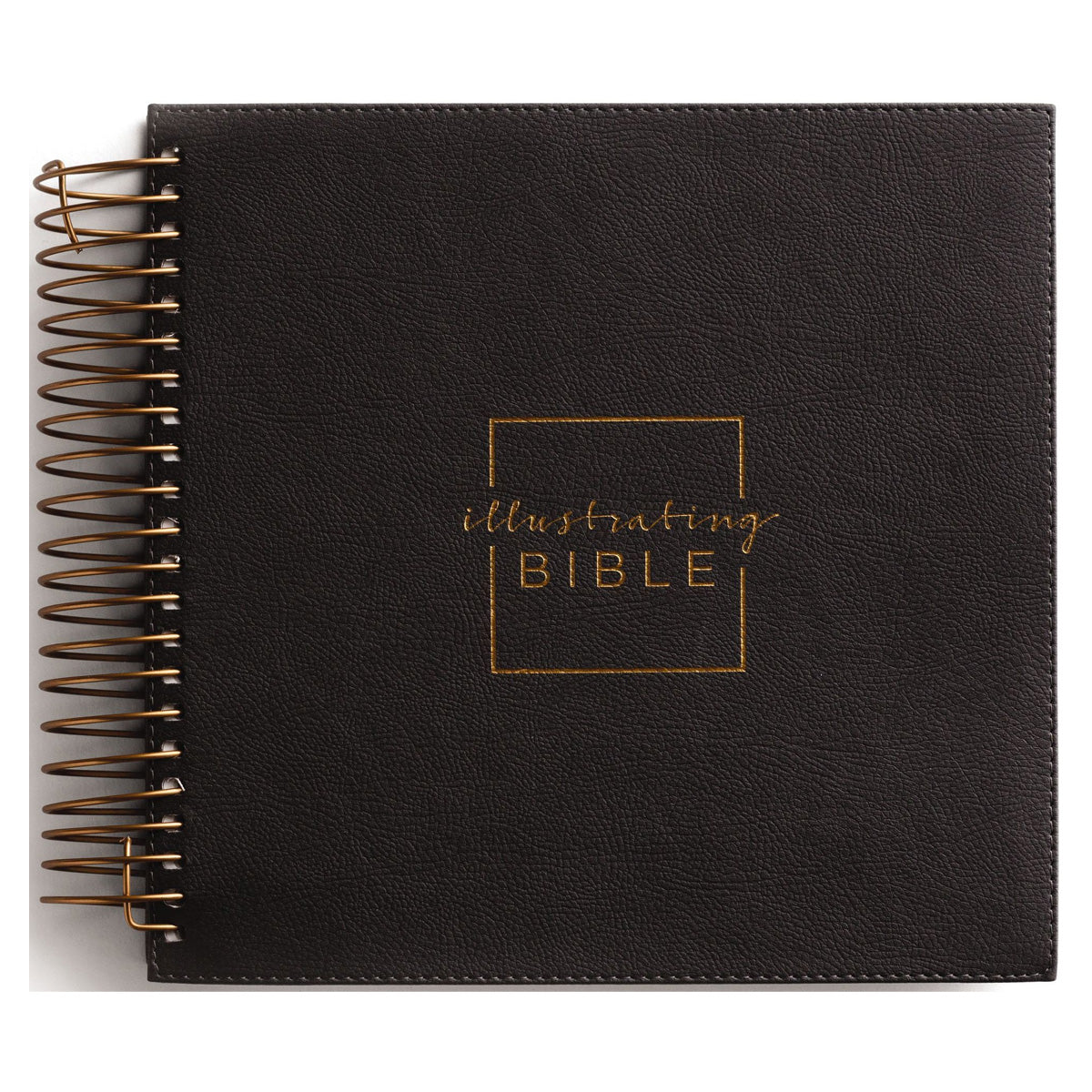 NIV Illustrating Bible, Spiral-Bound Imitation Leather, Dark Gray