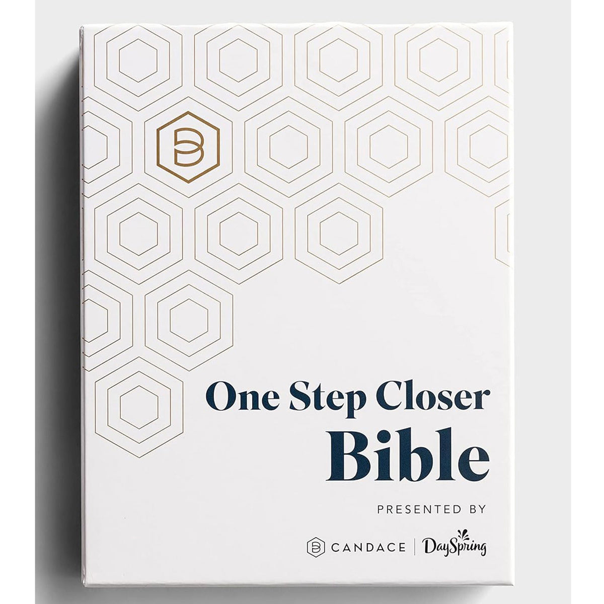 NLT Imitation Leather One Step Closer Bible