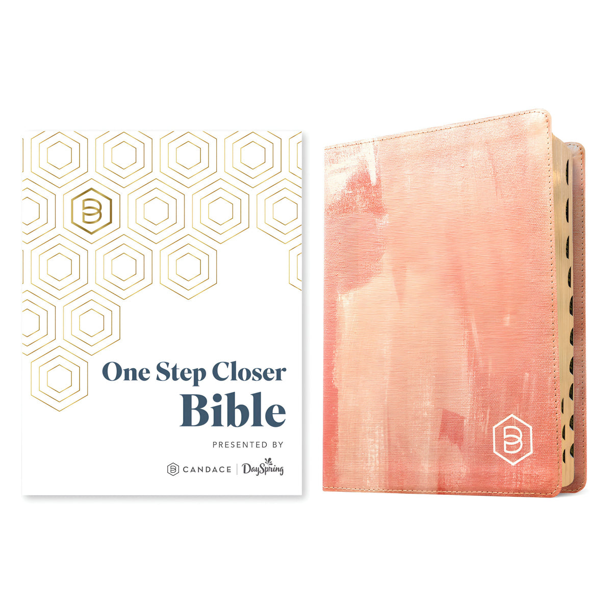 NLT Imitation Leather One Step Closer Bible