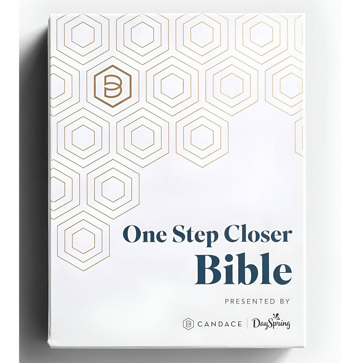 NLT Navy Imitation Leather One Step Closer Bible
